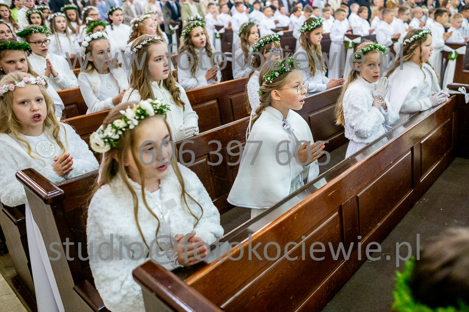 NAZWA PLIKU: <b> 144<b>_SFK_0144.jpg