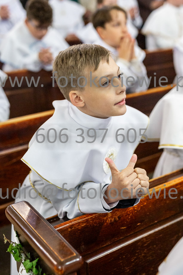 NAZWA PLIKU: <b> 219<b>_SFK_0219.jpg