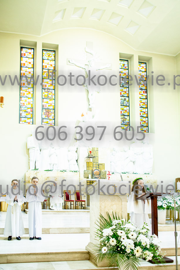 NAZWA PLIKU: <b> 264<b>_SFK_0264.jpg