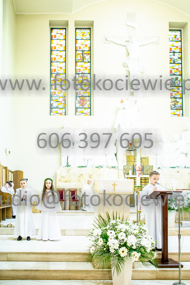 NAZWA PLIKU: <b> 271<b>_SFK_0271.jpg