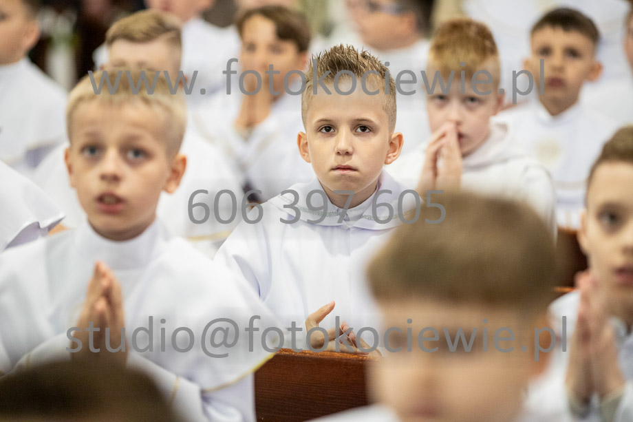NAZWA PLIKU: <b> 311<b>_SFK_0311.jpg