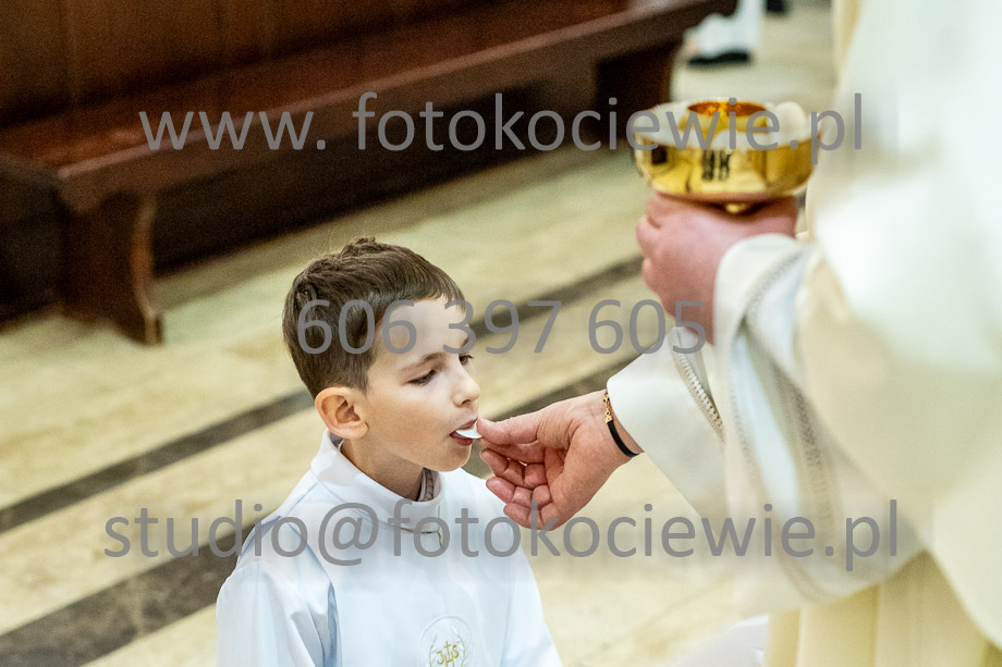 NAZWA PLIKU: <b> 483<b>_SFK_0483.jpg