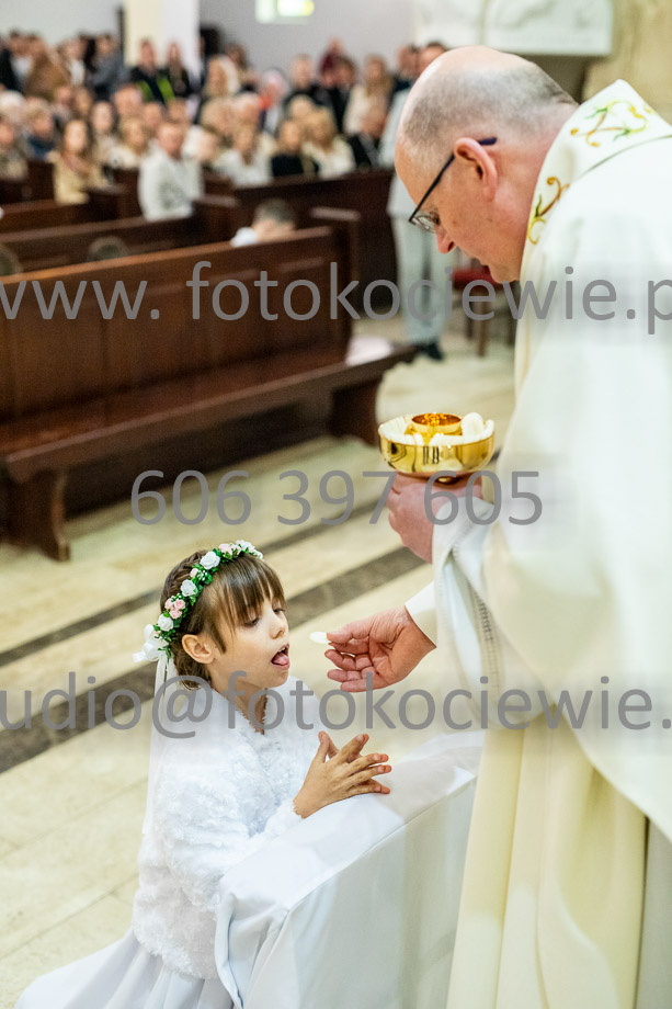 NAZWA PLIKU: <b> 495<b>_SFK_0494.jpg