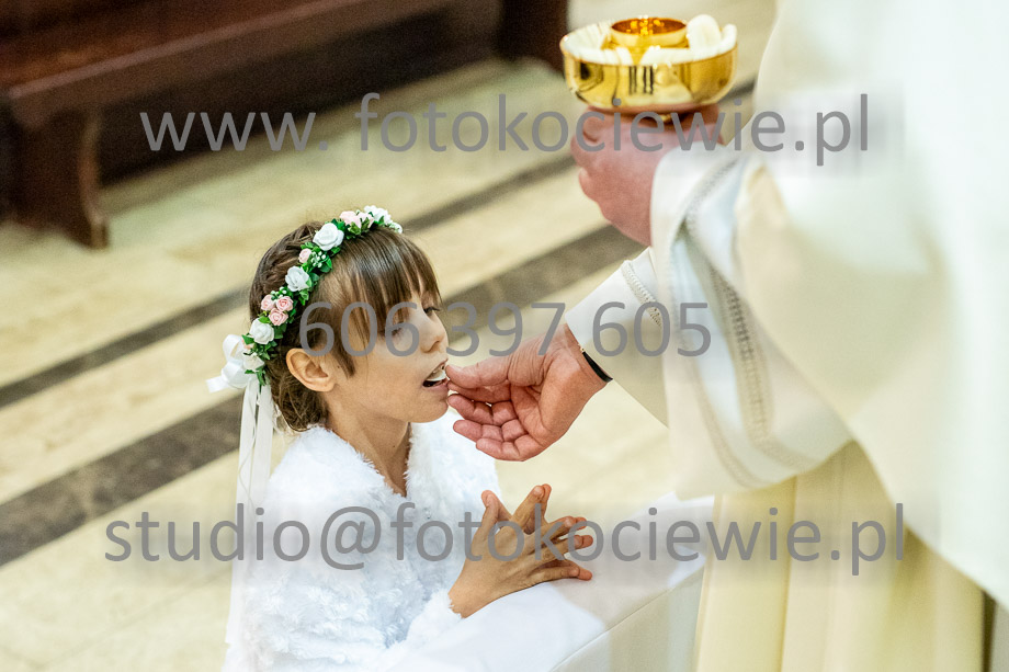 NAZWA PLIKU: <b> 494<b>_SFK_0495.jpg