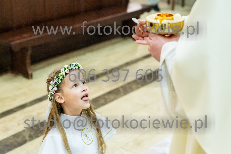 NAZWA PLIKU: <b> 497<b>_SFK_0497.jpg