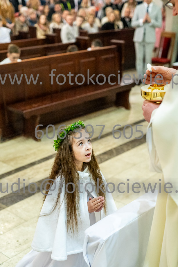 NAZWA PLIKU: <b> 499<b>_SFK_0499.jpg