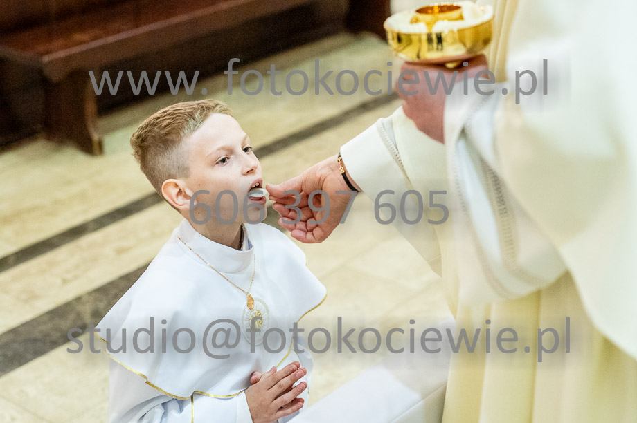 NAZWA PLIKU: <b> 504<b>_SFK_0504.jpg