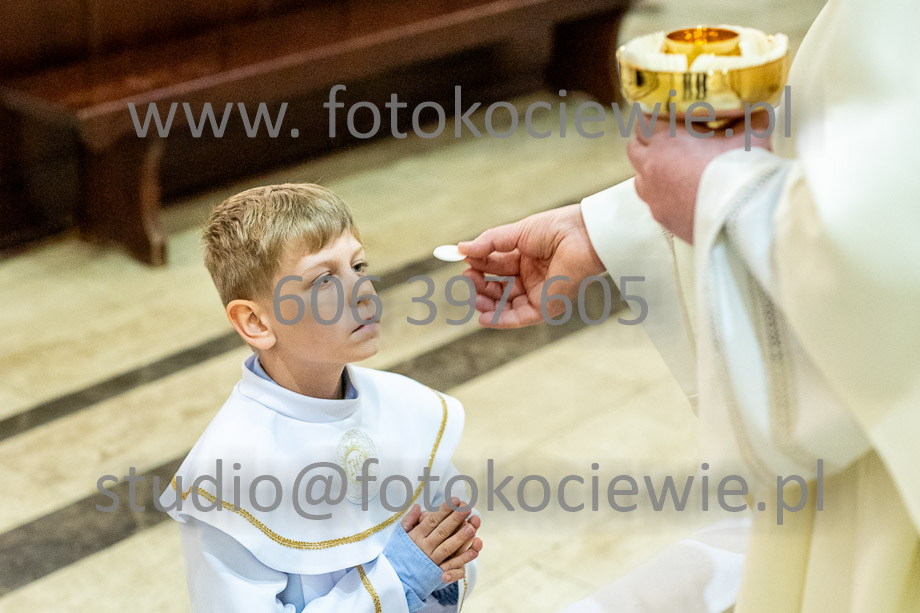 NAZWA PLIKU: <b> 508<b>_SFK_0509.jpg