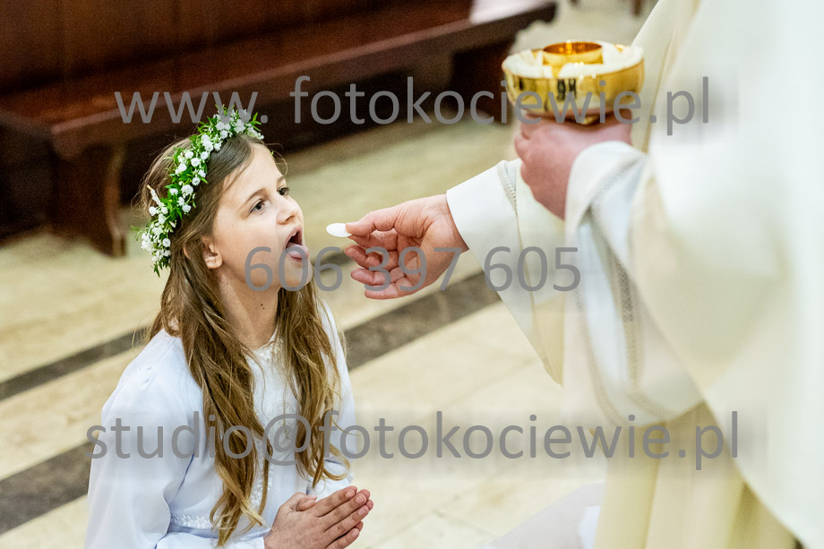 NAZWA PLIKU: <b> 537<b>_SFK_0538.jpg