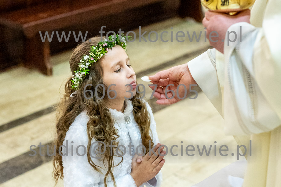 NAZWA PLIKU: <b> 564<b>_SFK_0564.jpg