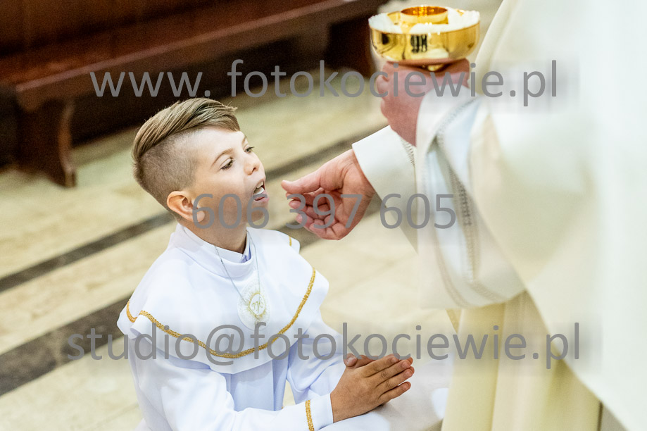 NAZWA PLIKU: <b> 576<b>_SFK_0576.jpg