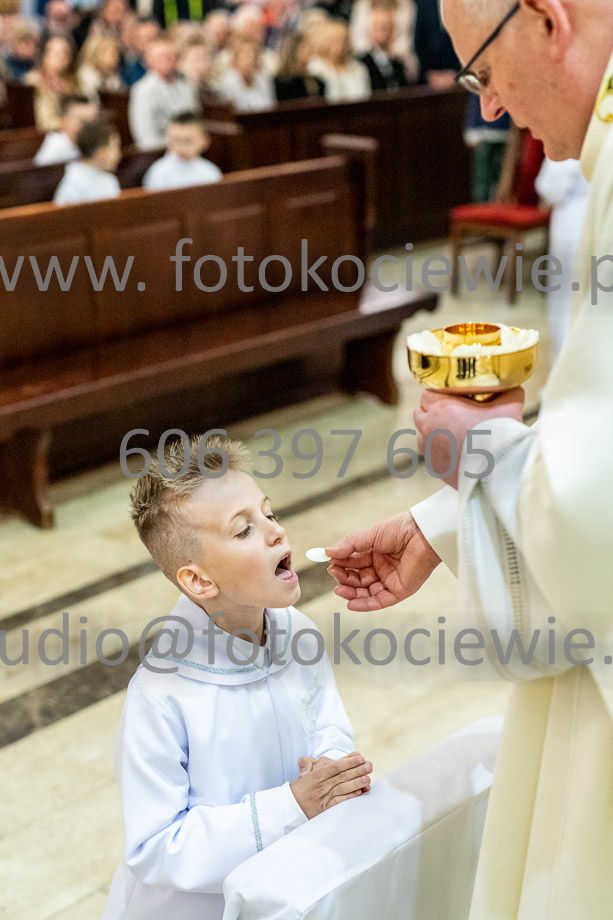 NAZWA PLIKU: <b> 584<b>_SFK_0584.jpg