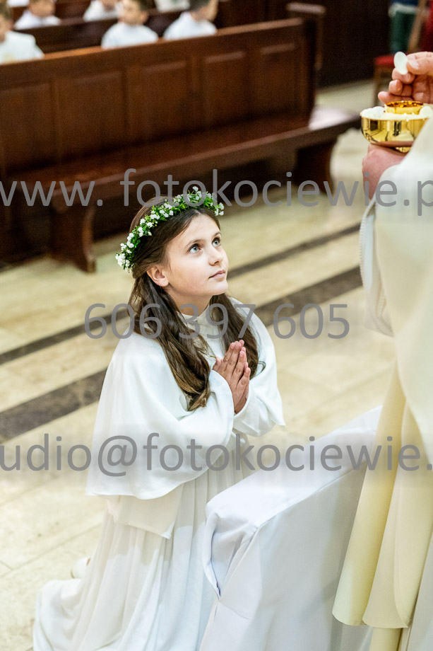 NAZWA PLIKU: <b> 596<b>_SFK_0596.jpg