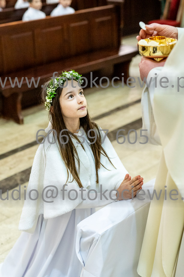 NAZWA PLIKU: <b> 664<b>_SFK_0664.jpg