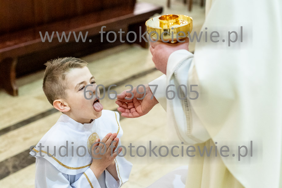 NAZWA PLIKU: <b> 675<b>_SFK_0675.jpg