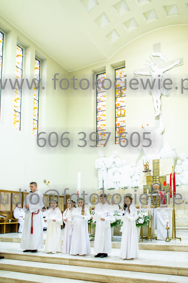 NAZWA PLIKU: <b> 736<b>_SFK_0736.jpg