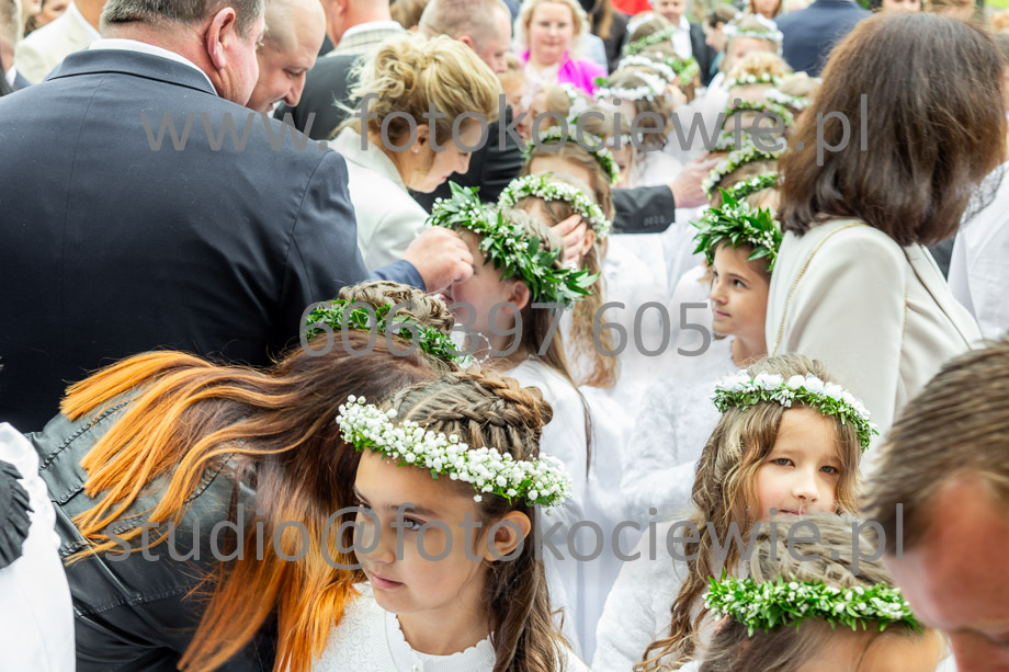 NAZWA PLIKU: <b> 138<b>_SFK_0138.jpg